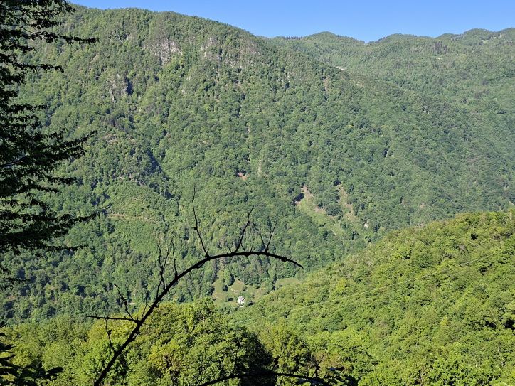 Prvi maj 2026 v Trebuši